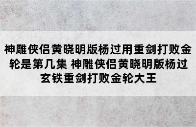 神雕侠侣黄晓明版杨过用重剑打败金轮是第几集 神雕侠侣黄晓明版杨过玄铁重剑打败金轮大王